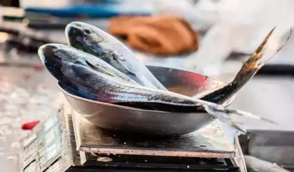 都說吃魚好，但這 5 種魚真的別買啦，太臟了，吃完對身體有害