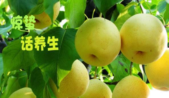 為什么老人說驚蟄要吃梨 驚蟄節氣吃梨有什么好處