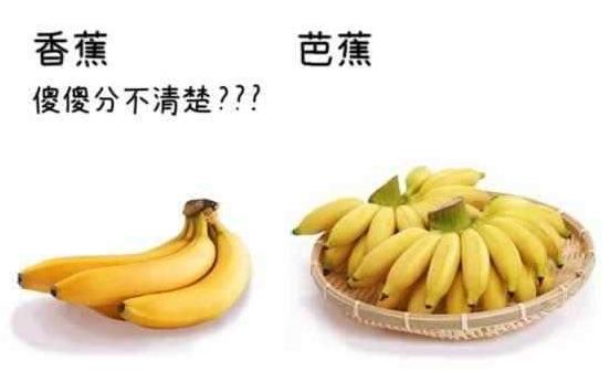 香蕉和芭蕉的營養(yǎng)價(jià)值差不多嗎 吃芭蕉好還是香蕉好怎么區(qū)分