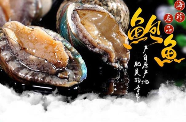 鮑魚清洗干凈的方法 挑選保存鮑魚技巧及鮑魚的營養價值