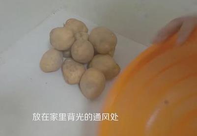 土豆怎么保存延緩發芽速度