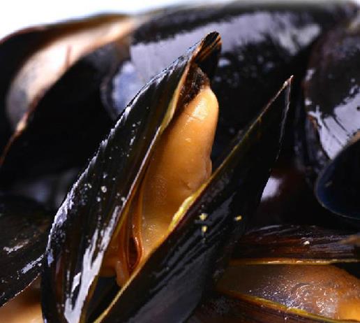 為什么現在吃海虹易食物中毒？毒海虹的毒性有多大？