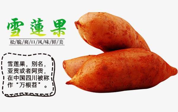 雪蓮果有什么作用及功效？雪蓮果的吃法大全