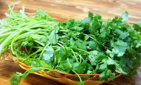 為什么有的人不吃香菜？女性吃香菜有哪些壞處？