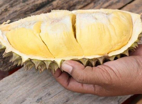 榴蓮是酸性食物還是堿性食物？榴蓮吃多了會怎么樣？