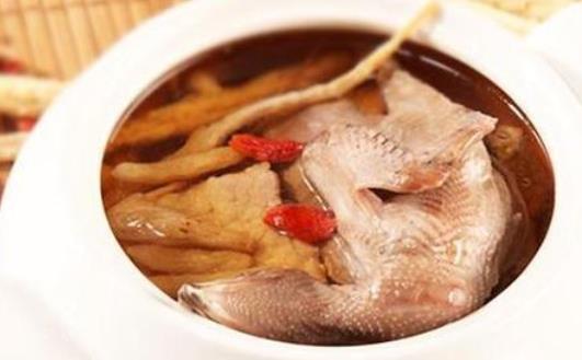 鴿子肉有哪些營養價值？蝦和鴿子可以一起吃嗎