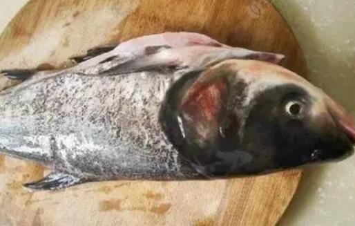 胖頭魚有哪些營養(yǎng)價(jià)值？胖頭魚的熱量高嗎